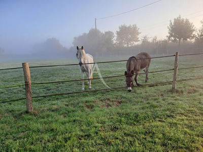 Maison - 112 m² - 5 pièces