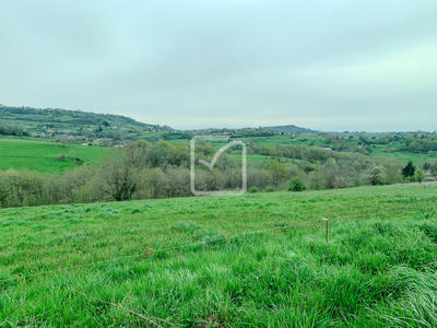 Terrain - 2 299 m²