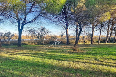 Propriété - 4 200 m² - 80 pièces