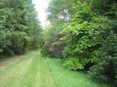 Propriété - 380 m² - 13 pièces