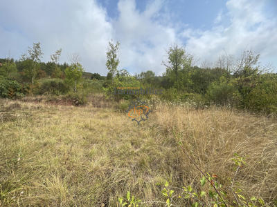 Terrain - 730 m²