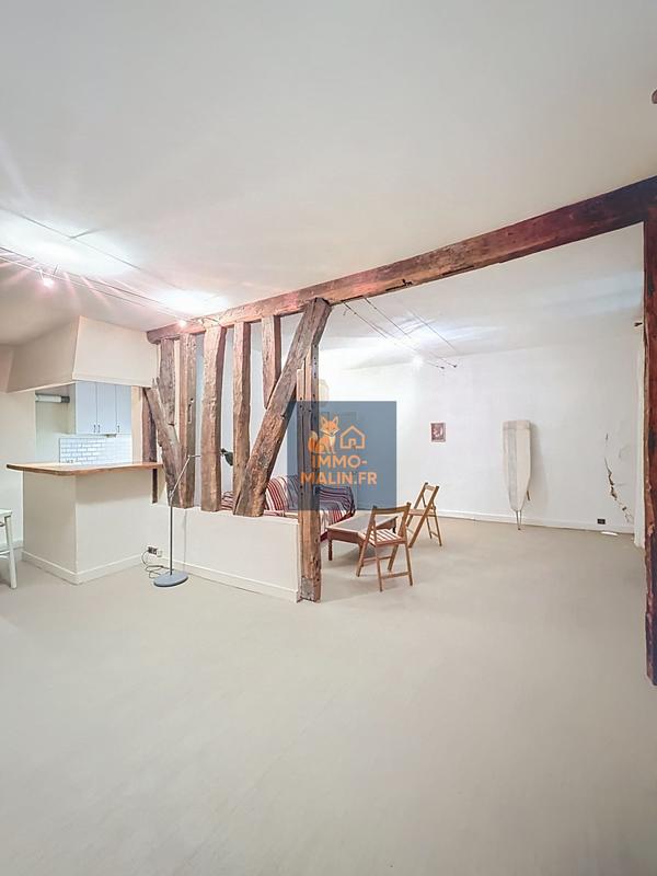 Appartement - 53 m² - 1 pièce