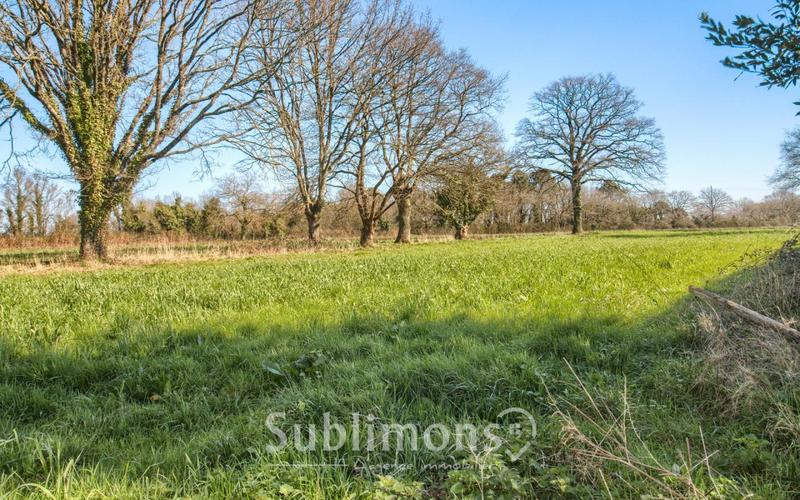 Longère - 272 m² - 7 pièces