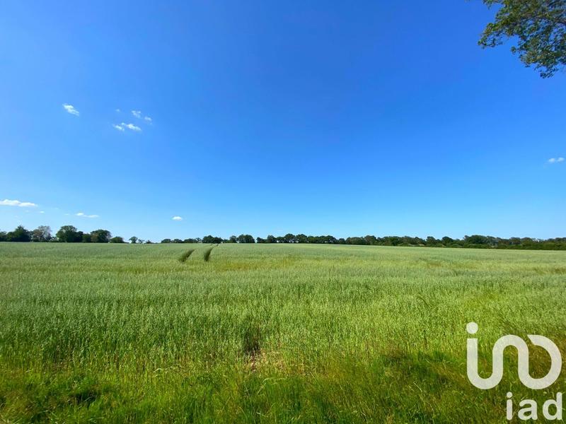 Terrain agricole - 368 685 m²