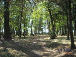 Château - 3 800 m² - 36 pièces