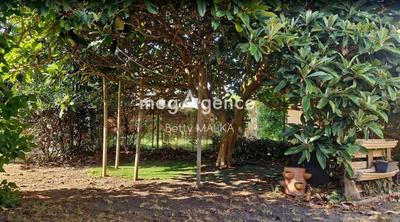 Maison en pierre - 78 m² - 6 pièces