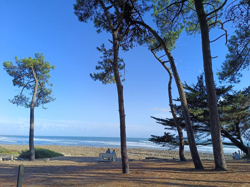 Appartement - 37 m² - 2 pièces