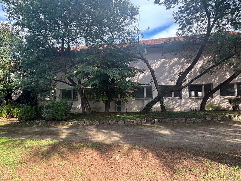 Local d'activité / Entrepôt - 500 m²