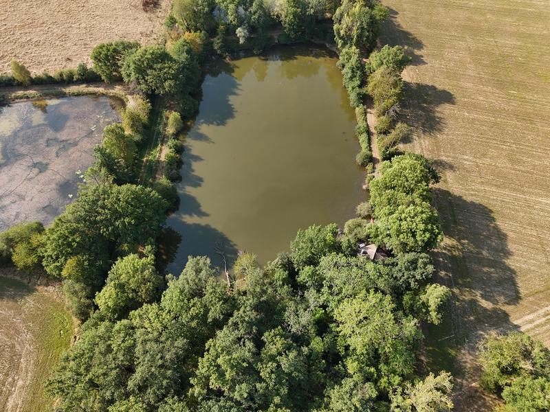 Maison - 46 m² - 2 pièces