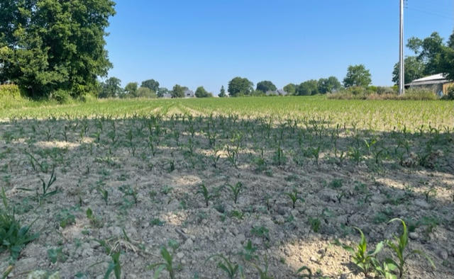 Terrain constructible - 9 678 m²