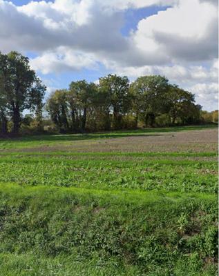 Terrain constructible - 403 m²