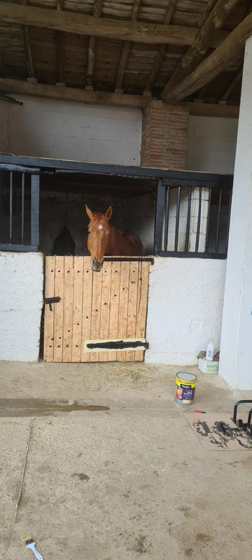 Fonds de commerce - Magasins - 62 459 m²