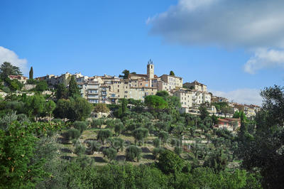 Maison - 451 m² - 13 pièces