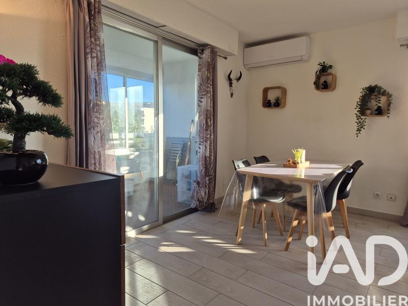 Appartement - 50 m² - 2 pièces