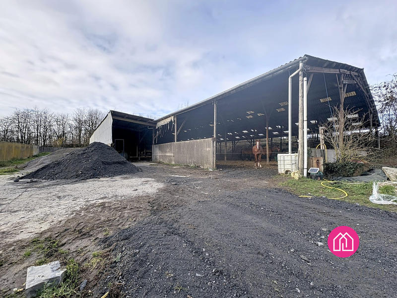 Maison - 250 m² - 10 pièces