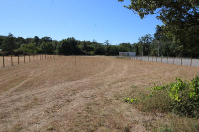 Terrain constructible - 3 601 m²