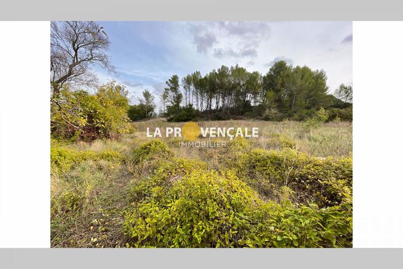 Terrain - 470 m²