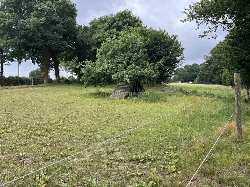 Maison - 101 m² - 5 pièces