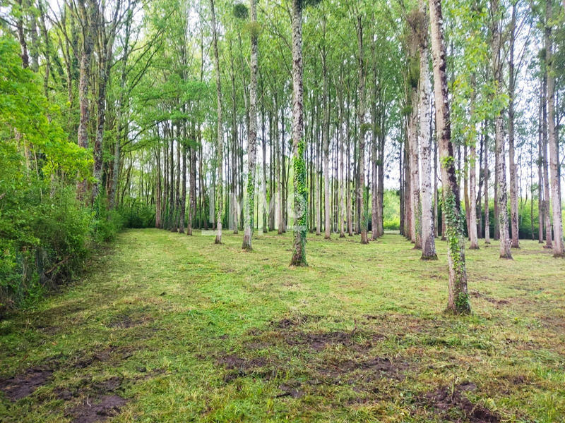 Terrain de loisirs - 9 800 m²