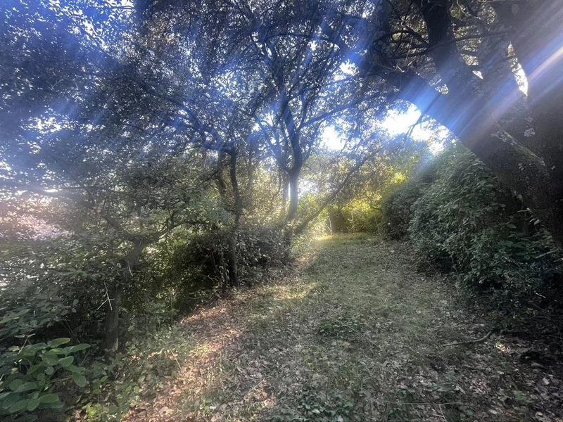 Maison - 228 m² - 9 pièces