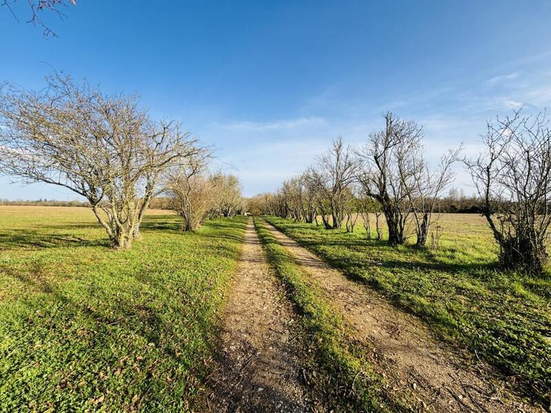 Propriété - 240 m² - 8 pièces