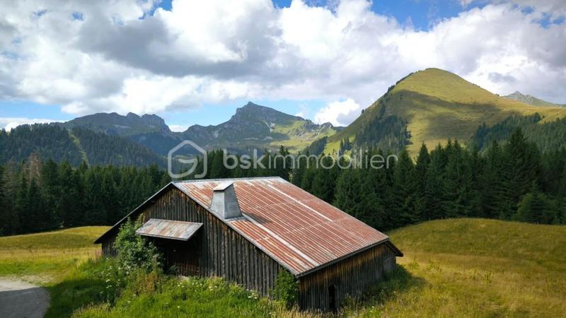 Studio - 20 m² - 1 pièce