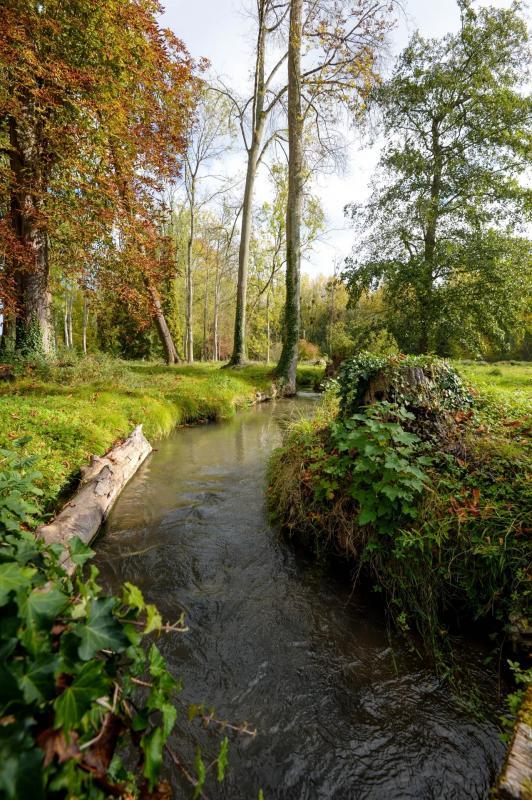 Moulin - 200 m² - 7 pièces