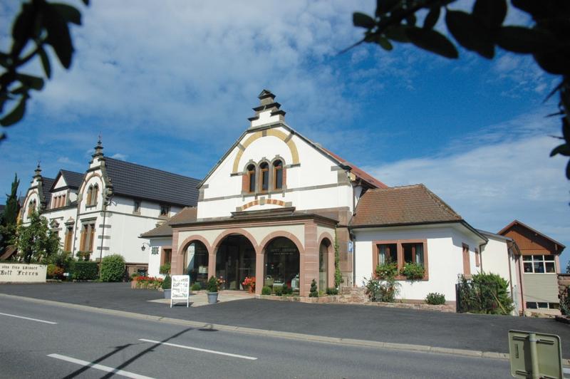 Visite guidée de la cave du domaine Bott Frères