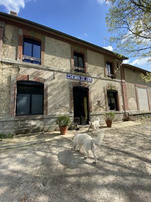 La Gare des chiens