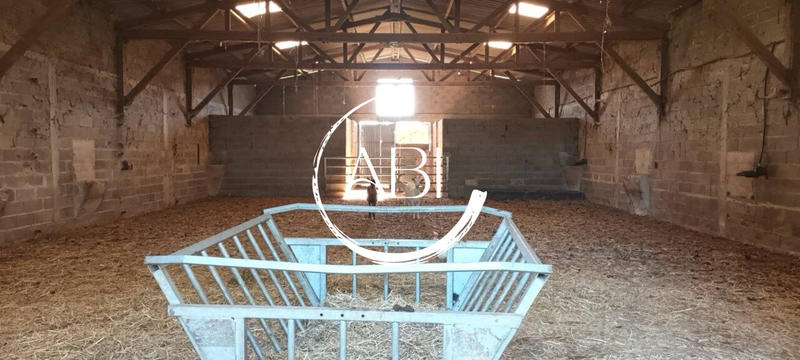 Maison ancienne - 110 m² - 5 pièces