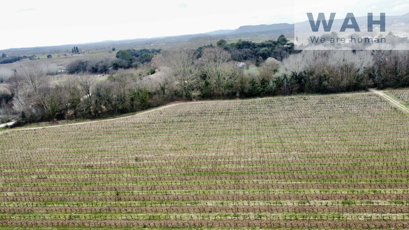 Terrain - 117 320 m²