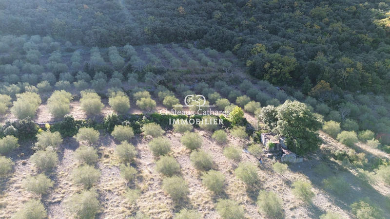 Terrain agricole - 51 314 m²