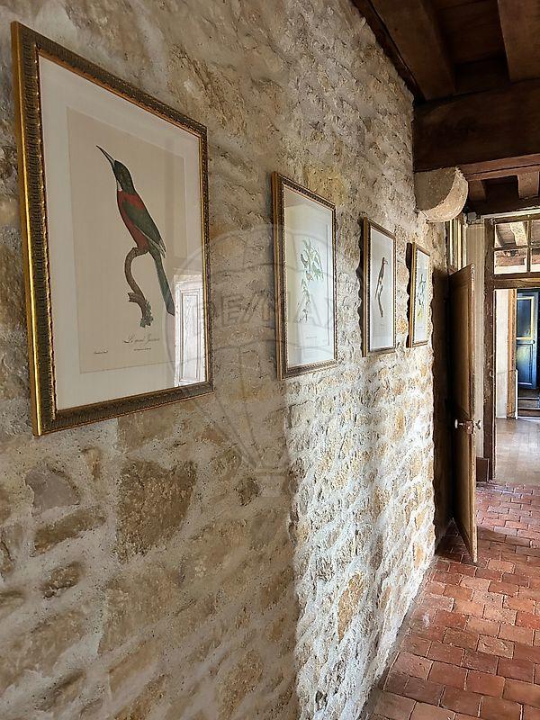 Demeure - 318 m² - 13 pièces