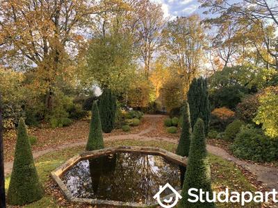 Chambre - 16 m² - 1 pièce