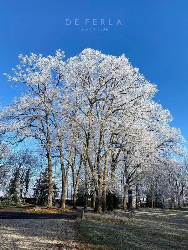 Château - 800 m² - 11 pièces