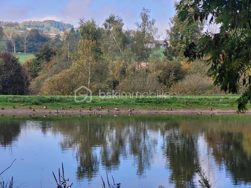 Propriété - 141 m² - 5 pièces