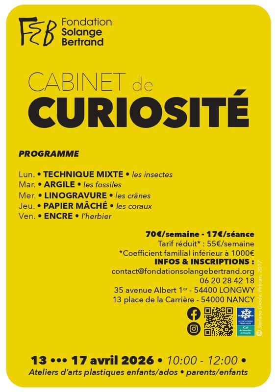 “ Cabinet de Curiosité” - Atelier d’arts plastiques - Nancy
