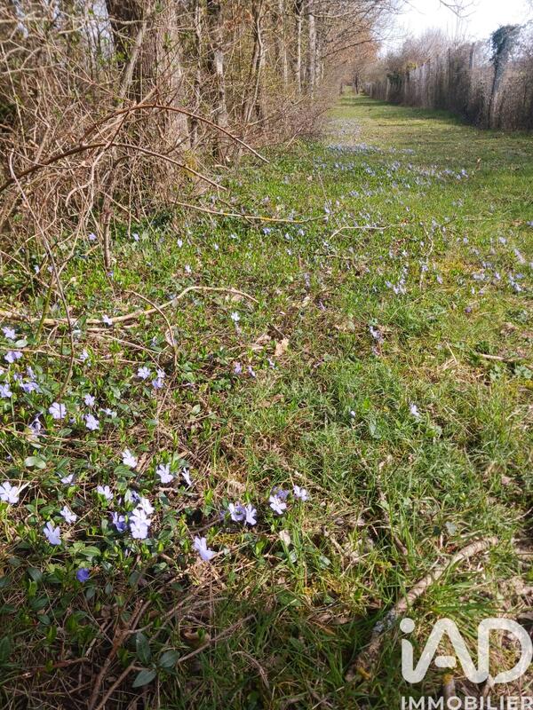 Terrain - 32 204 m²