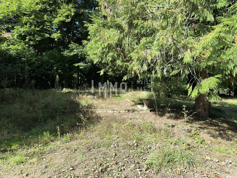 Terrain de loisirs - 25 088 m²