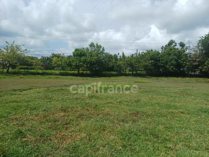 Terrain constructible - 1 000 m²