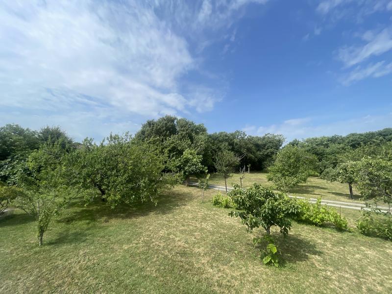 Maison ancienne - 156 m² - 7 pièces