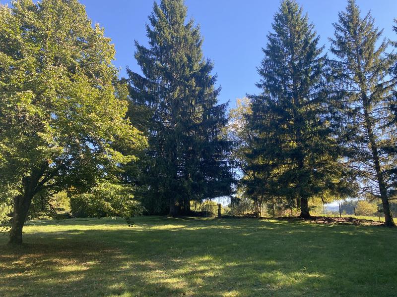 Maison ancienne - 66 m² - 4 pièces