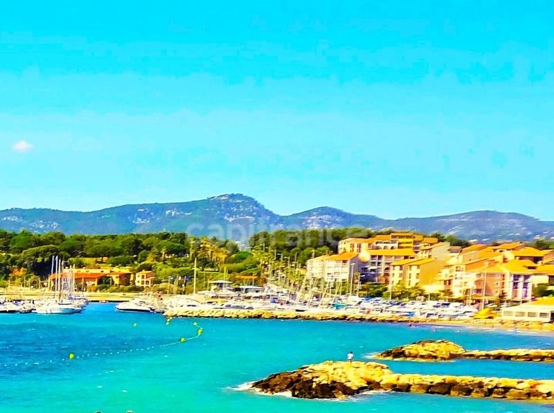 Appartement - 31 m² - 2 pièces