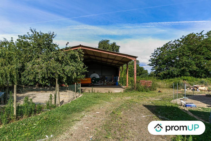 Terrain agricole - 5 000 m²