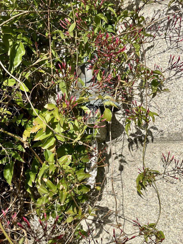 Maison ancienne - 160 m² - 9 pièces