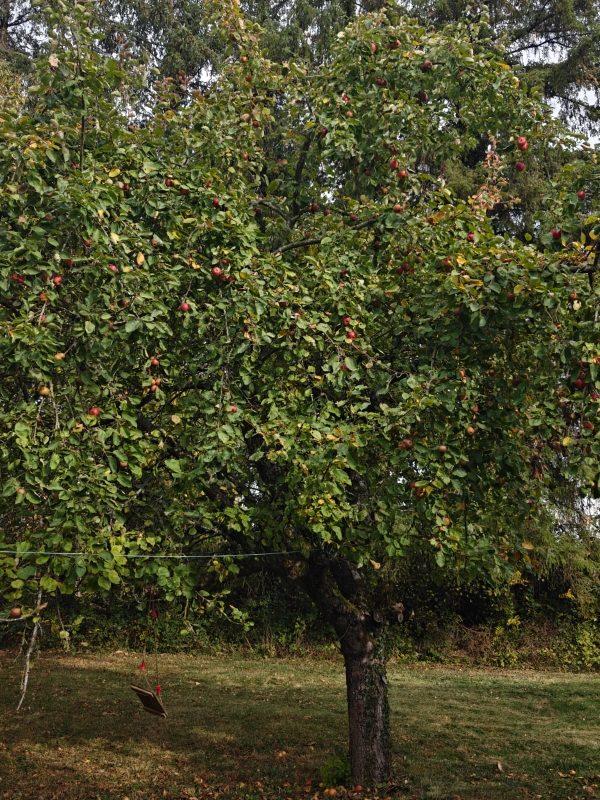 Maison - 104 m² - 4 pièces