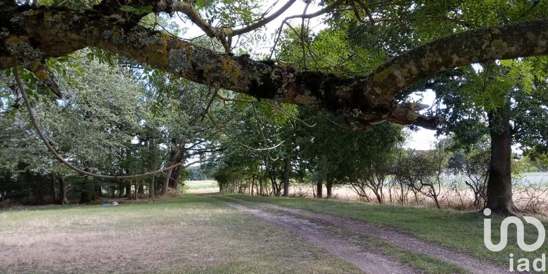 Maison - 113 m² - 5 pièces