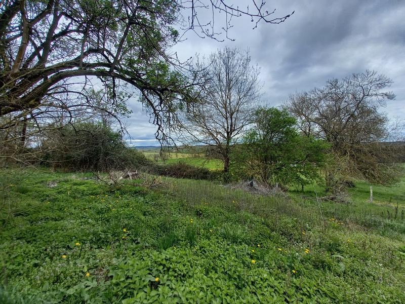 Maison traditionnelle - 135 m² - 4 pièces