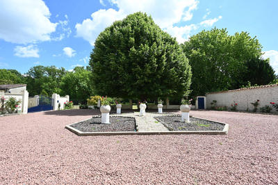 Maison en pierre - 185 m² - 6 pièces