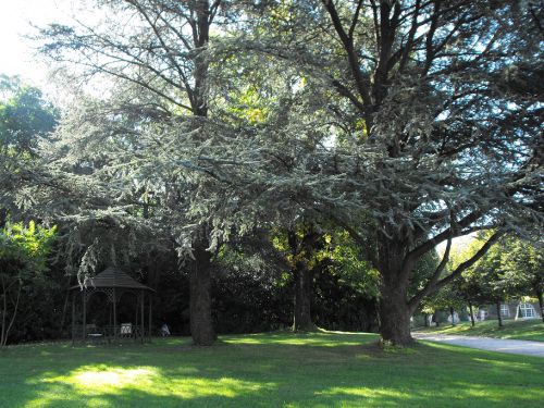 Chateau de la Flocelliere